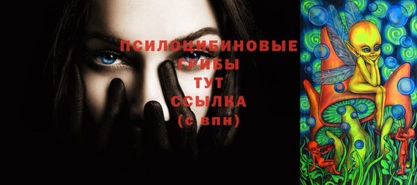 ПСИЛОЦИБИНОВЫЕ ГРИБЫ Мегион