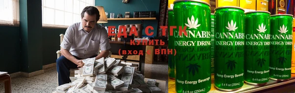 ECSTASY Алзамай